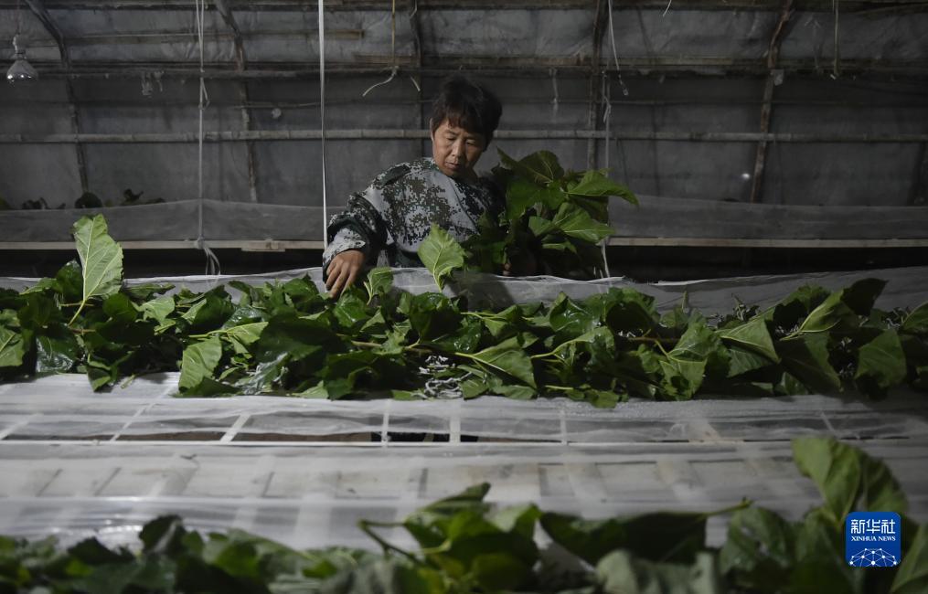 博雅地方棋牌充值